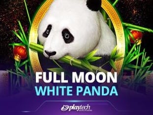 Full Moon_ White Panda™ icon